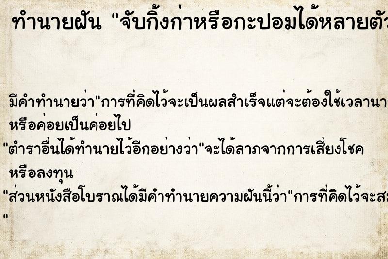 ทำนายฝัน จับกิ้งก่าหรือกะปอมได้หลายตัว 